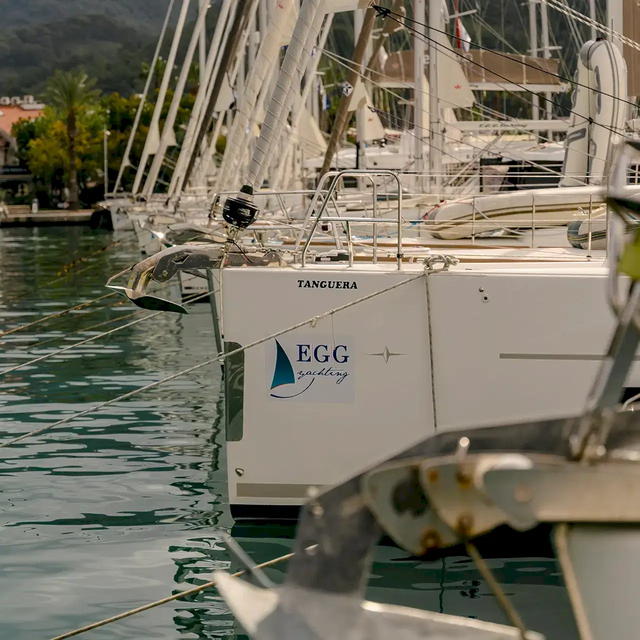 img-blur-shadow-blog-2